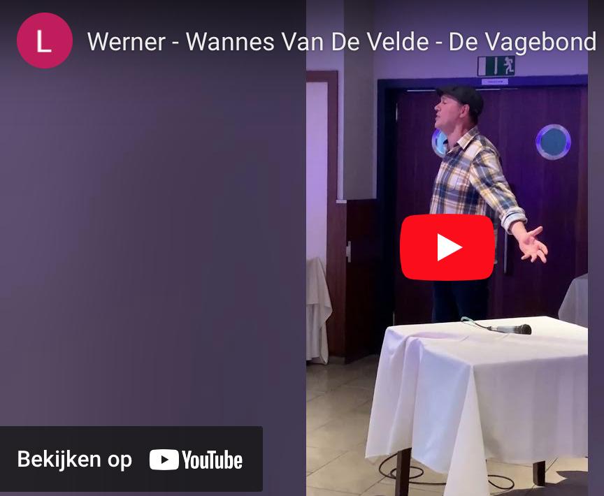 Werner - Wannes Van De Velde - De vagebond